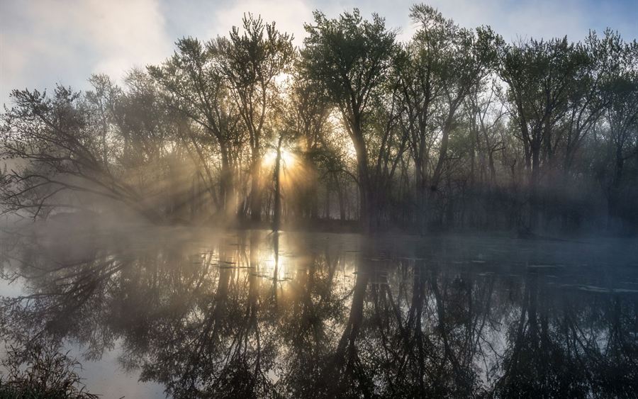 Mist rising off a still lake at sunrise